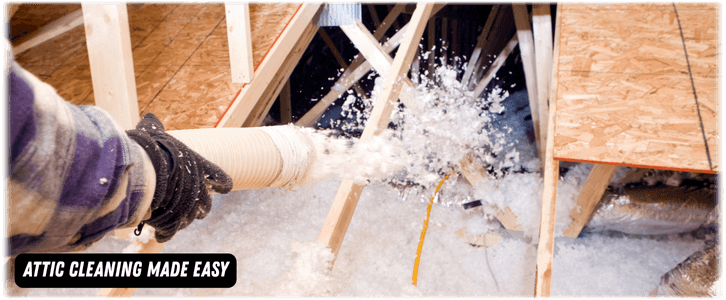 Attic Cleaning Coral Springs
