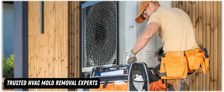 HVAC Mold Removal Coral Springs